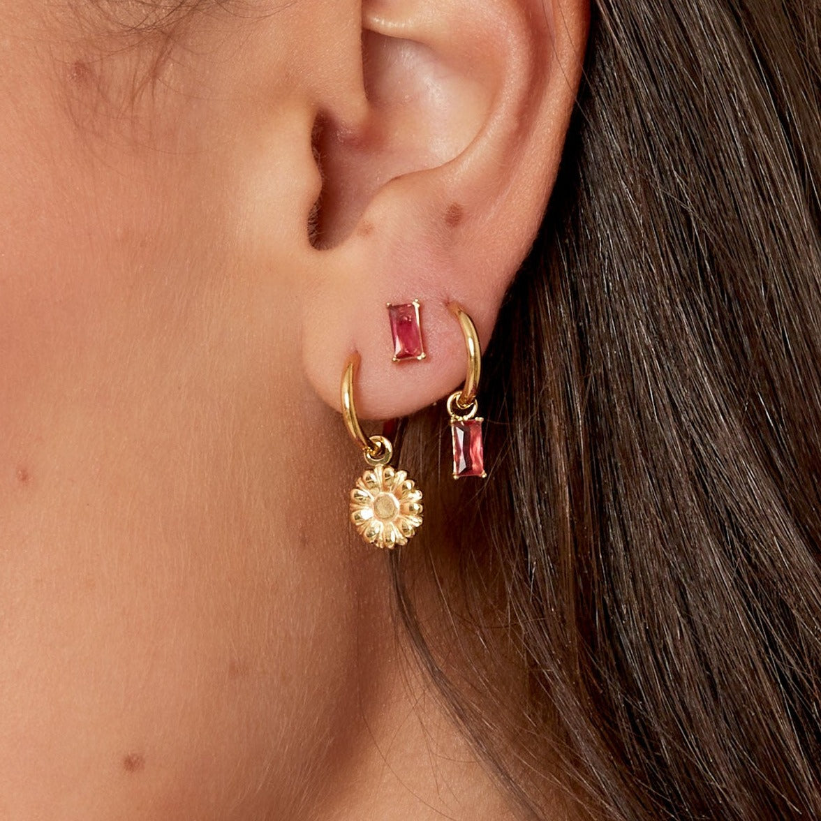 Oorstekers rechthoekige steen