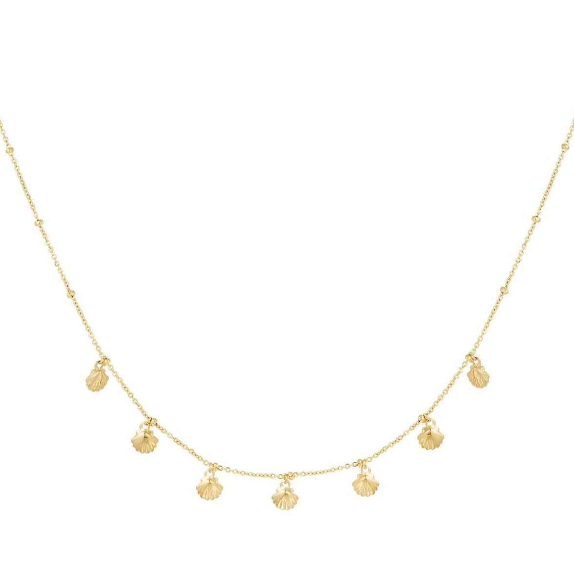 Ketting met bungelende schelpen