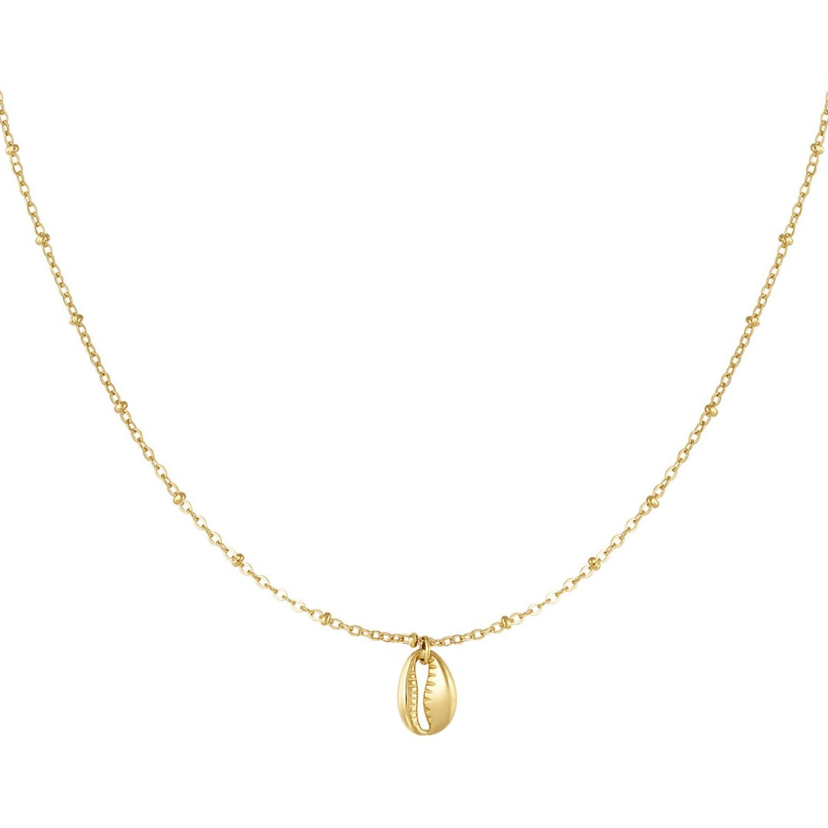 Schakelketting met schelp