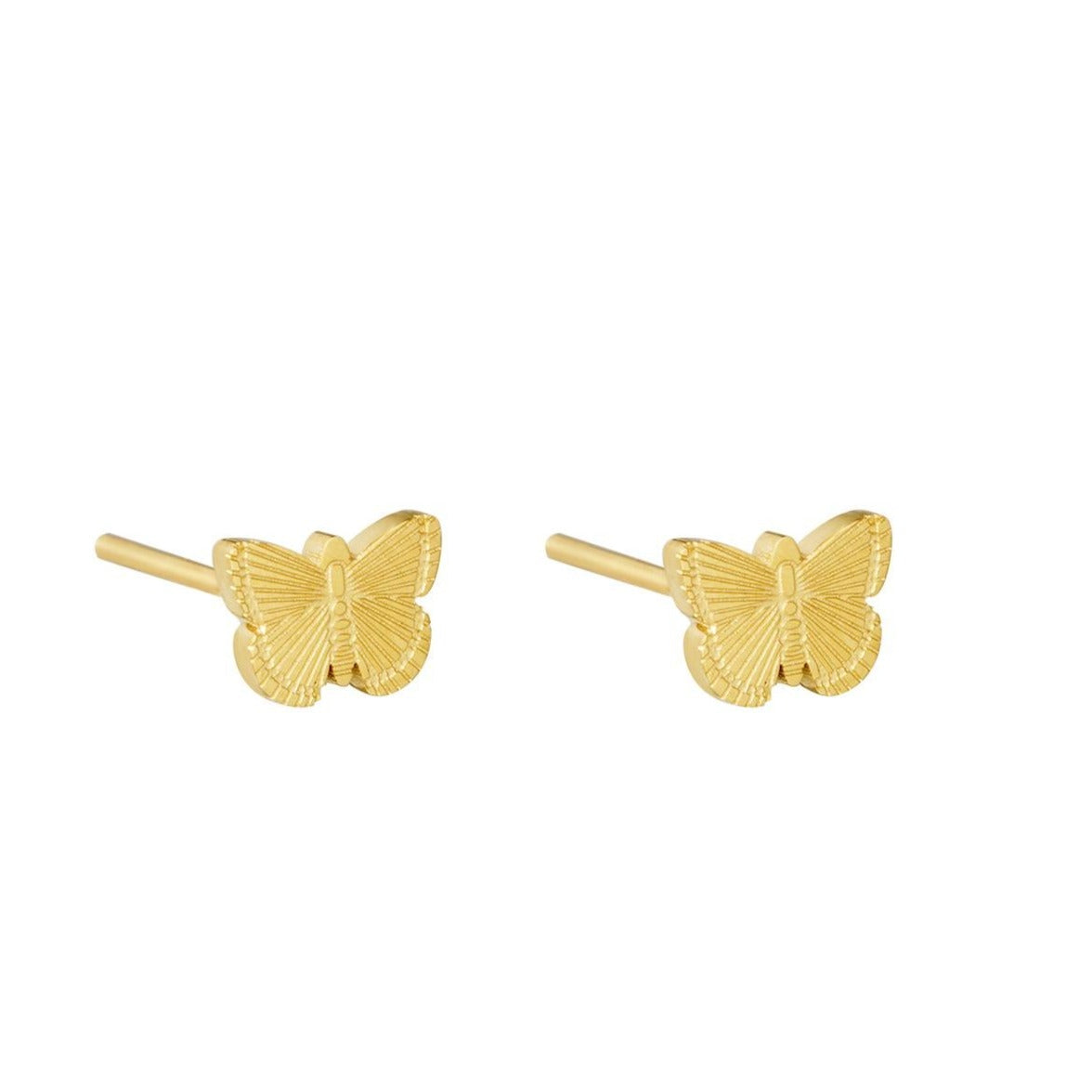 Oorstekers butterfly