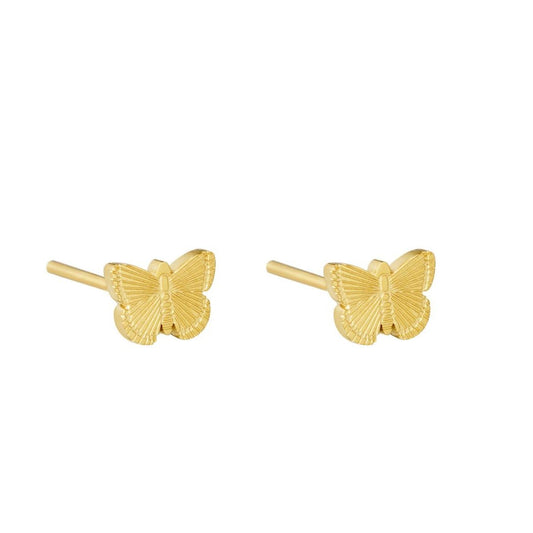 Oorstekers butterfly